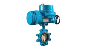 Valve manufacturers in Hyderabad TSIIC Area