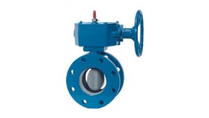 Valve supplier in Hyderabad TSIIC Area
